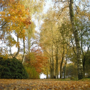 Hemelvaart Zen retraite